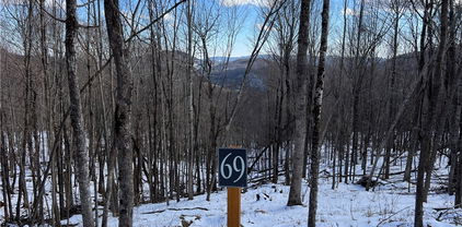 TBD (Lot 69) Poplar Forest Drive, Boone