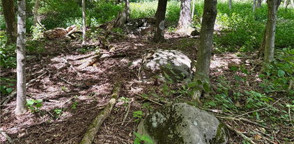 TBD Mystery Mountain Drive, West Jefferson