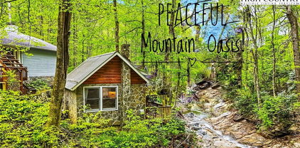 751 Millers Pond Lane, Boone