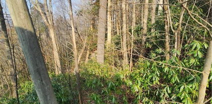 TBD Poplar Ridge Road, Boone