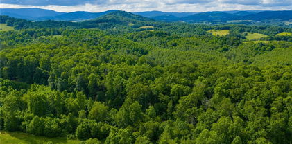TBD Phipps Dairy Road, Piney Creek