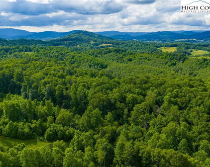 TBD Phipps Dairy Road, Piney Creek