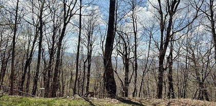 Lot 38 Crown Spruce Lane, West Jefferson