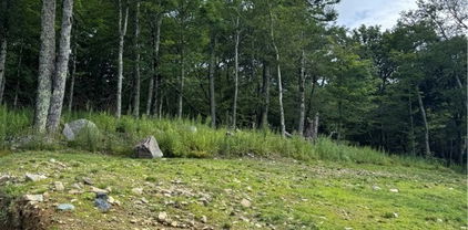 Lot 108 Buena Vista Loop, Sugar Mountain