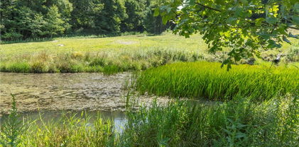 Tract 2, Lots 1 & 2 Wyeth Drive, Blowing Rock