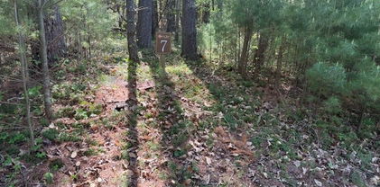Lot 7/8 Sonterra Drive, Lansing