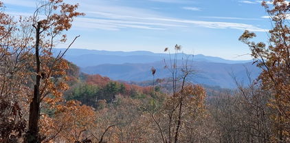 368 Reynolds Parkway, Boone