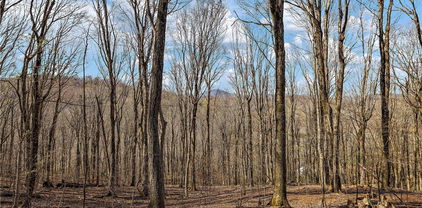 TBD Cobbs Creek Road, Boone