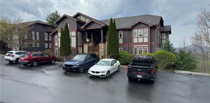 180 Indian Paintbrush Drive Unit RA-2, Banner Elk