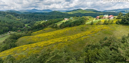 34 Acres Cranberry Springs Road, Fleetwood