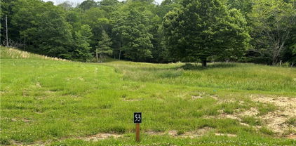 Lot 53 Poplar Forest, Boone