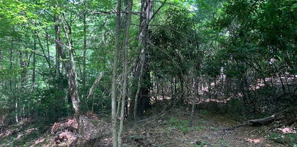 tbd Lower Nettleknob Road, West Jefferson