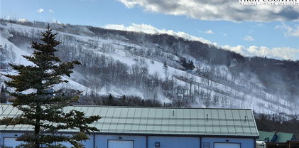 301 Pinnacle Inn Road Unit 2306, Beech Mountain