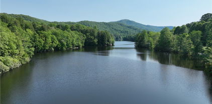 1764 Ripshin Mountain Road, Roan Mountain