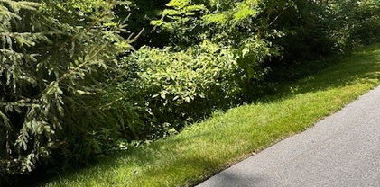 lot 17 Farm Loop Road, Banner Elk