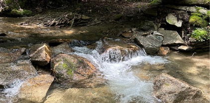 Lots 1, 2 & 3 Woodland Waters and 101 Indian Trail, Beech Mountain