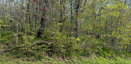 44 Fox Paw Lane, Banner Elk