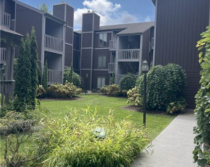 176 Royal Oaks Drive Unit 115, Blowing Rock