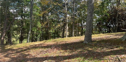 TBD Busic Ridge #6, Sparta