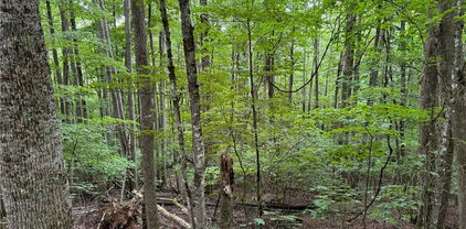 119 Raccoon Road, Beech Mountain