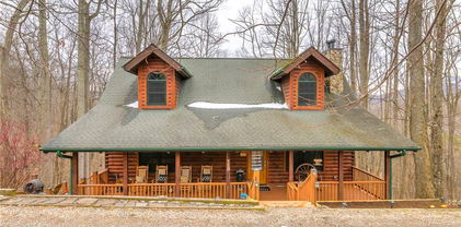 113 Vixen Den Lane, Zionville