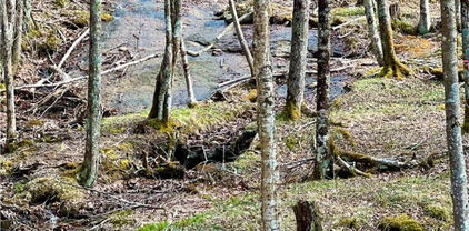 ES-61 Rippling Waters Trail, Banner Elk
