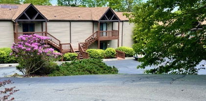 1664 Grouse Moor Drive Unit 7, Sugar Mountain