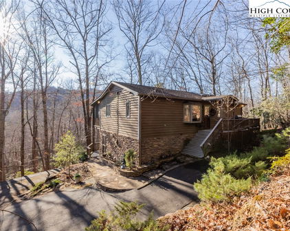 205 Birch Lane, Deep Gap