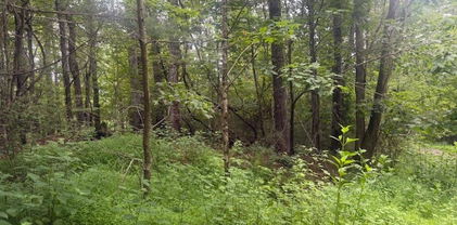 TBD Beaver Creek Drive, West Jefferson