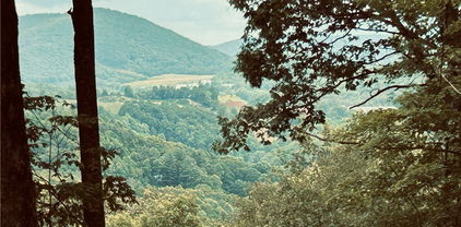 Lot 64 Poplar Forest Drive, Boone