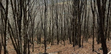 Lot 18 Wakeman Way, Banner Elk