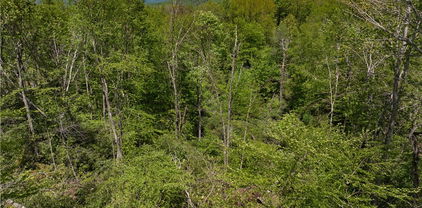 ES28 Eagle Springs Trail, Banner Elk