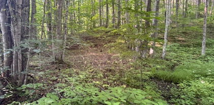 Lot 56 & 57 Beechwood Circle, Creston