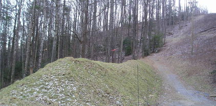 TBD Old Still House Road, Blowing Rock