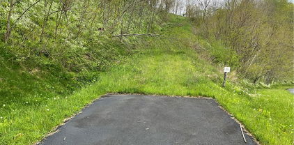TBD NE Moddock Road, Zionville