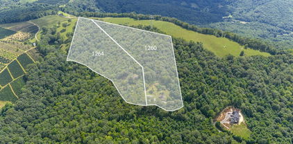 Lots 8, 9 Mountain Laurel Parkway, Newland