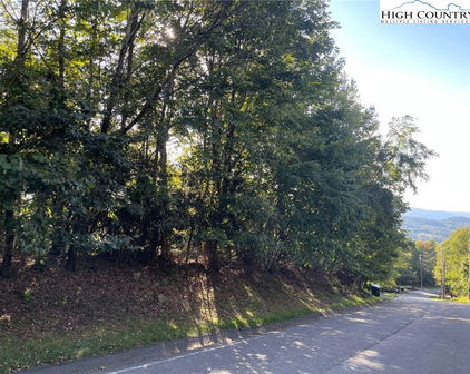 315 Pinnacle Ridge Road, Beech Mountain