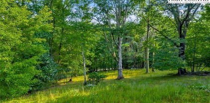 TBD NC Hwy 88 E, Laurel Springs