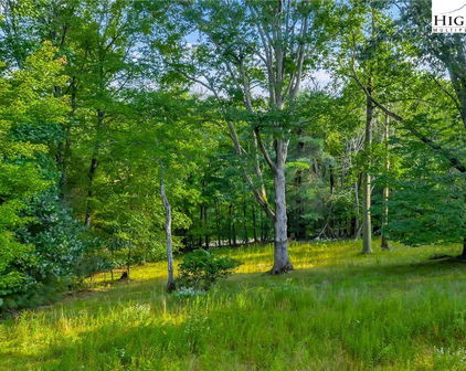 TBD NC Hwy 88 E, Laurel Springs