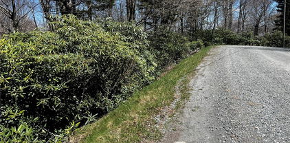 117 Wild Daisy Lane, Beech Mountain