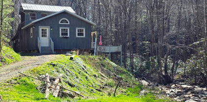 115 Little Horse Path, Lansing