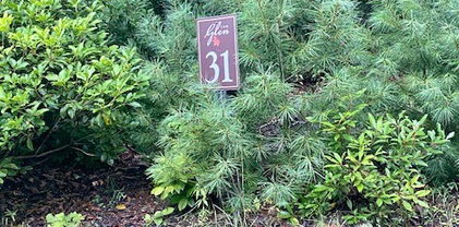 Lot 31 Thoreau Court, West Jefferson