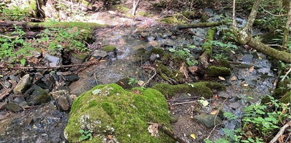 TBD Double Head Mountain Road, Newland
