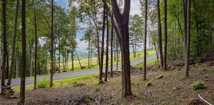 Lot 46 Wildcat Wilderness Parkway, Deep Gap