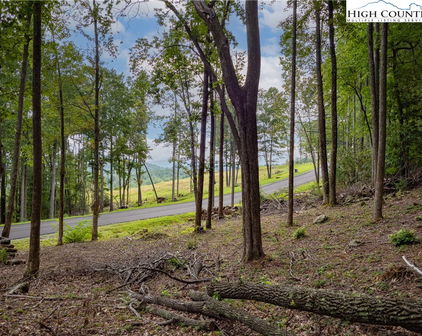Lot 46 Wildcat Wilderness Parkway, Deep Gap