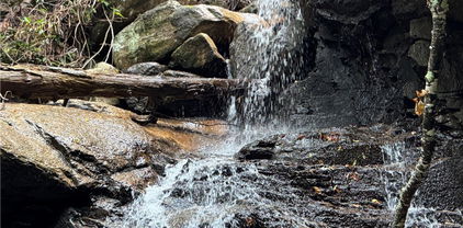 TBD Buckeye Ridge Road, Beech Mountain
