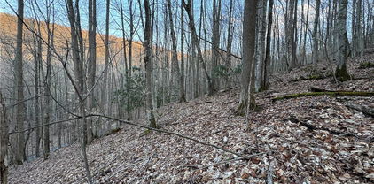 Lot 3 Buckeye Ridge Road, Beech Mountain