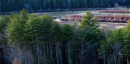 1.85 acres, Lot 154 Rocky Falls Lane Unit 154, Lenoir