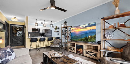 101 Mid Holiday Lane Unit E-218, Beech Mountain