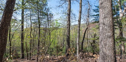 TBD Bear Track Lane, Lenoir